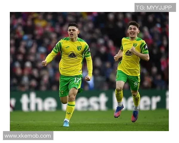 卢顿与诺维奇对决前瞻分析及比赛结果预测探讨